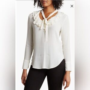 BLVD Ruffled Tie Neck Blouse